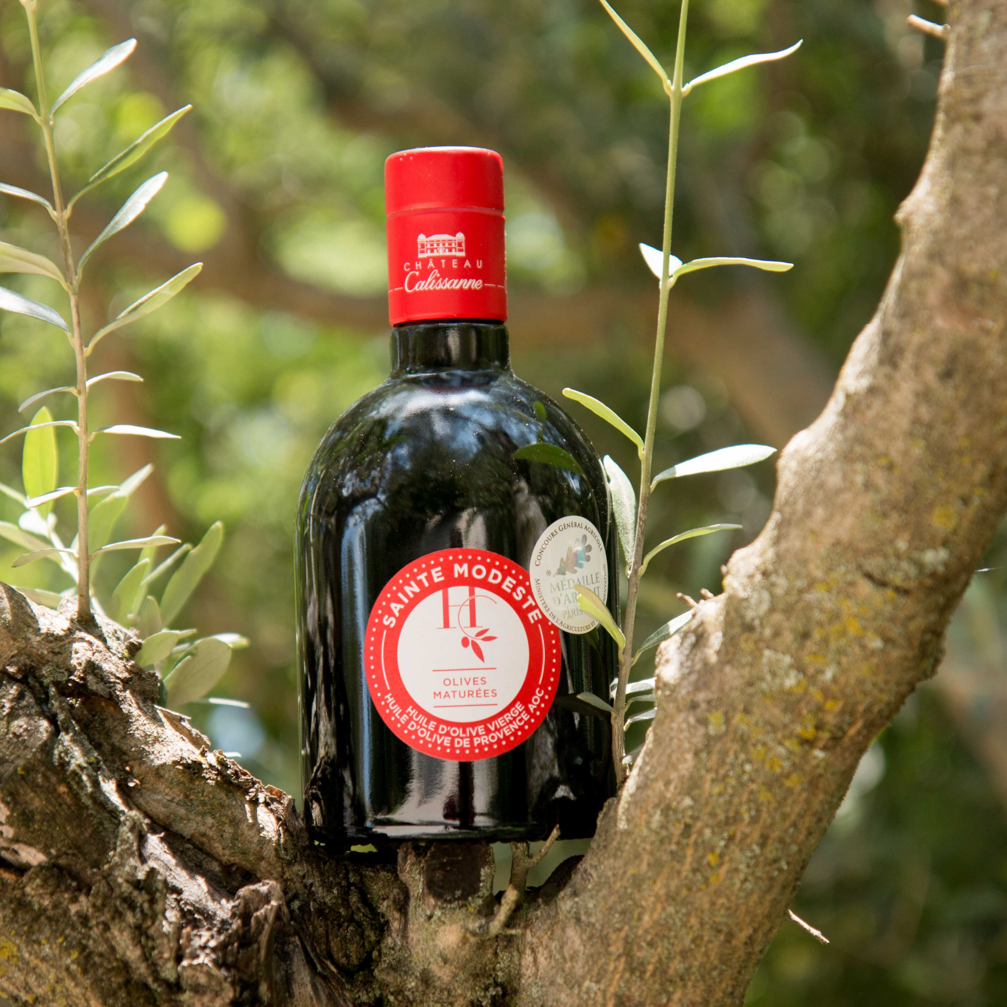 Eine Flasche Olivenoel Sainte Modeste von Chateau Calissanne auf einem Olivenbaum