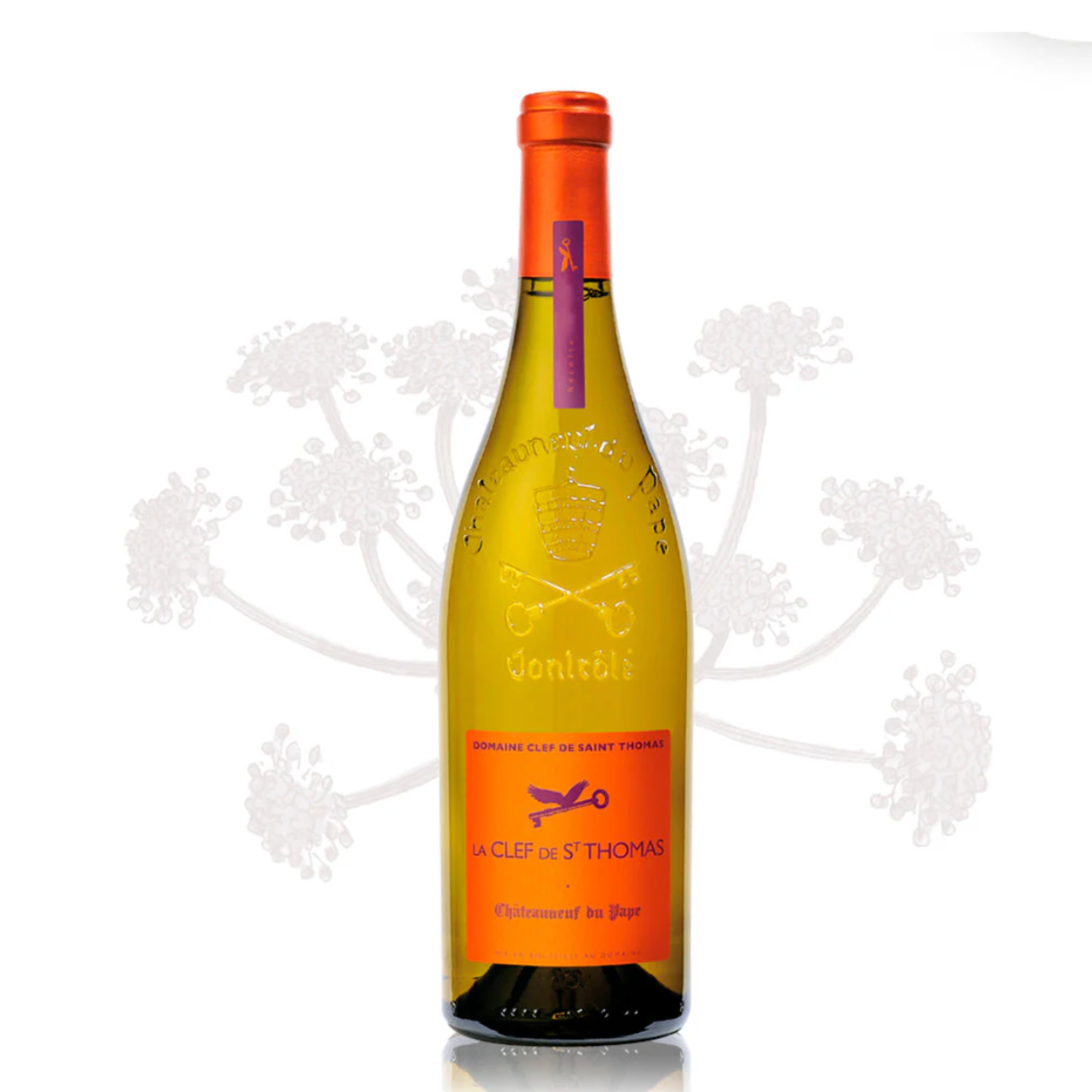 Eine Flasche Weißwein vom Weingut La Clef de Saint Thomas Châteauneuf-du-Pape mit einem Motif im Hintergrund