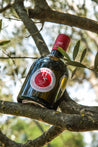 Font de Leu – Extra natives Olivenöl, grün und fruchtig